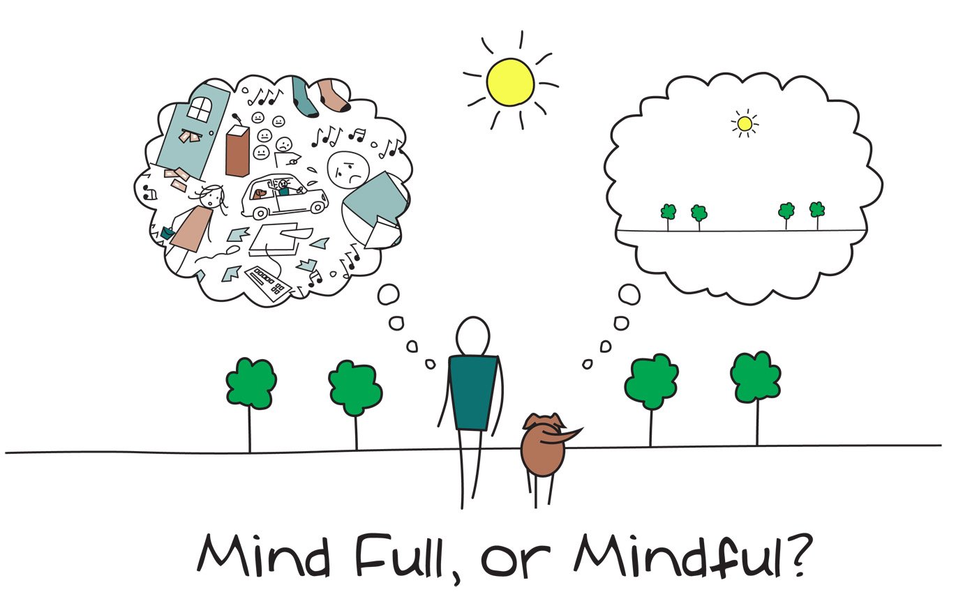 Investing in the Practice of Mindfulness in Our Schools Will Ensure Holistic Growth of Every Child