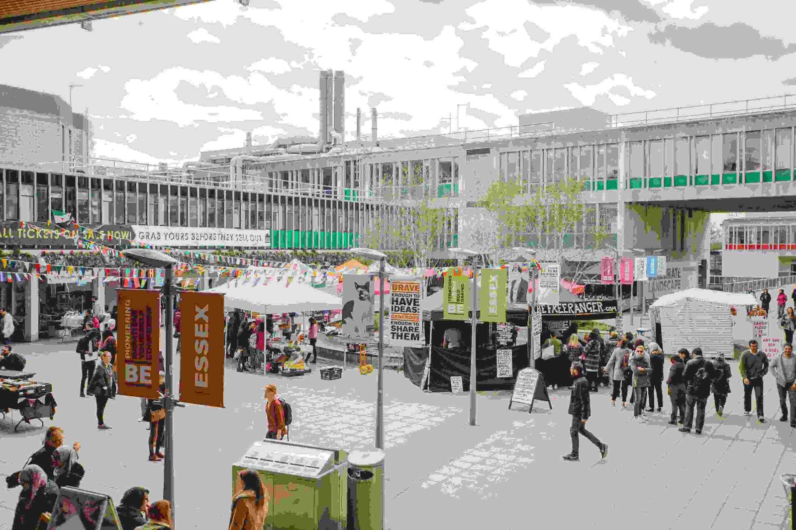 Essex launches free data science course for all its students