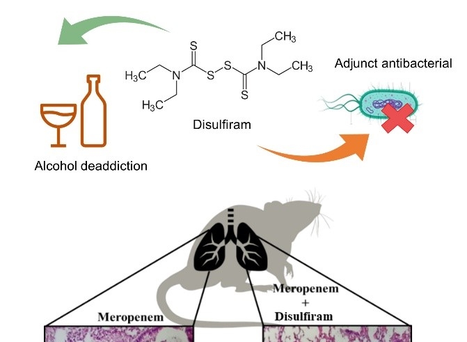 Molecule Targeting Carbapenem Resistance In Bacterial Pathogens ...