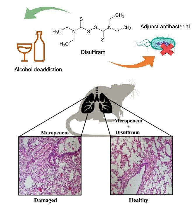 Molecule targeting Carbapenem resistance in bacterial pathogens discovered by IIT Roorkee researchers