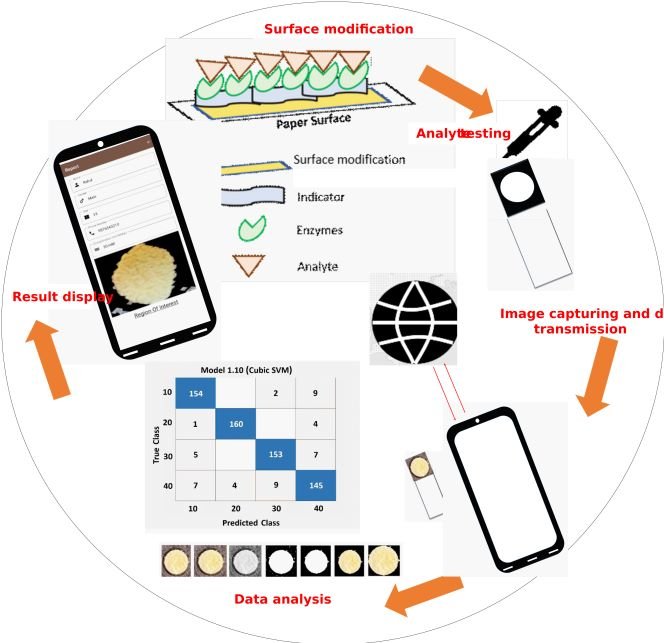 IIT Jodhpur Team Develops Framework for Smartphones assisted Glucose Testing Device envisioning for Fast Diagnosis