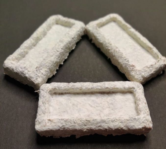 IIT Madras Researchers develop Agriculture Waste-based Packaging Materials that can eliminate Plastic Use