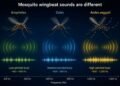 UOW India academic develops low-cost AI device to track the disease carrying mosquitoes