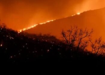 Two Decades of Satellite Data Reveals Changing fire regimes in wildlife reserves of southern India