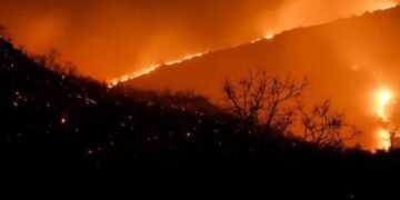 Two Decades of Satellite Data Reveals Changing fire regimes in wildlife reserves of southern India